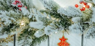 Nestle Frosted Shreddies Recall: What You Need To Know Now