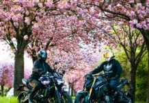 Kawasaki Norovirus Symptoms: What You Need To Know Today