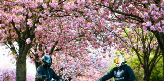 Kawasaki Norovirus Symptoms: What You Need To Know Today