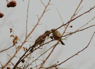 Highly Contagious Winter Bug UK: What You Need To Know Now