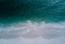 S25 Edge: Discover The Ultimate Features That Transform Your Experience