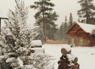 UK December Snowstorm Weather: What to Expect This Winter?