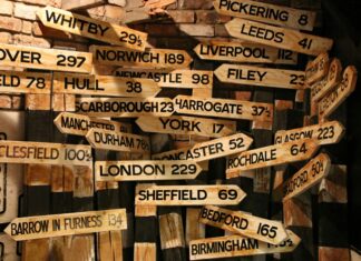 Newcastle United F.C. Vs Liverpool FC Stats: Who Will Dominate?