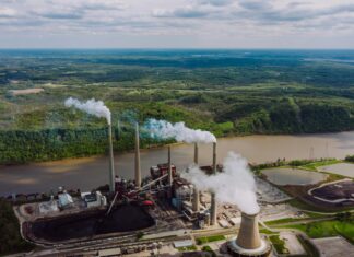 Toxic Town Characters: Unraveling Their Secrets and Intrigues