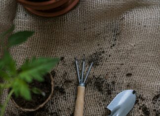 Grow A Garden Calculator: Unlock Your Perfect Planting Potential