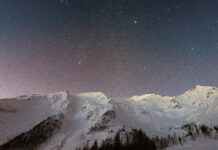 High Potential Season 2: What Surprises Await Fans This Time?