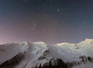 High Potential Season 2: What Surprises Await Fans This Time?