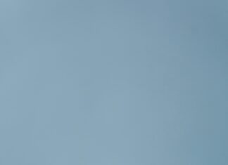 FC26 Web App: Unleash Your Potential with This Game-Changer