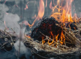 Ash Trevino: Discover The Secret Life Behind This Rising Star