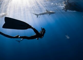 Shark Cryoglow Mask: Unlock Your Skin’s Radiance Today!