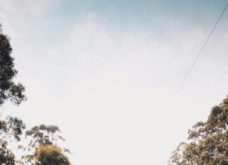 Christina Formella: Discover The Secrets Behind Her Success