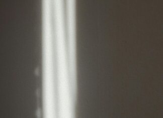 Cast of Dept. Q: Discover the Intriguing Characters Behind the Mystery