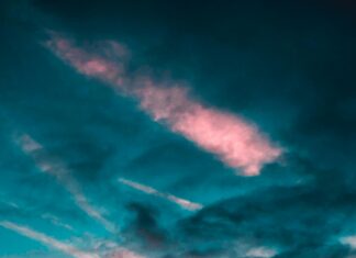 Bivol Vs Beterbiev 2: Who Will Triumph in This Epic Showdown?