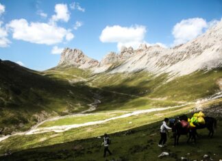 Human Metapneumovirus HMPV: What You Need to Know in China