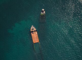 Tralalero Tralala: Discover the Hidden Joys of These Melodies